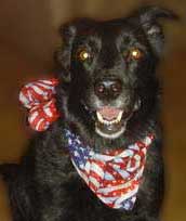 Large American Flag bandana